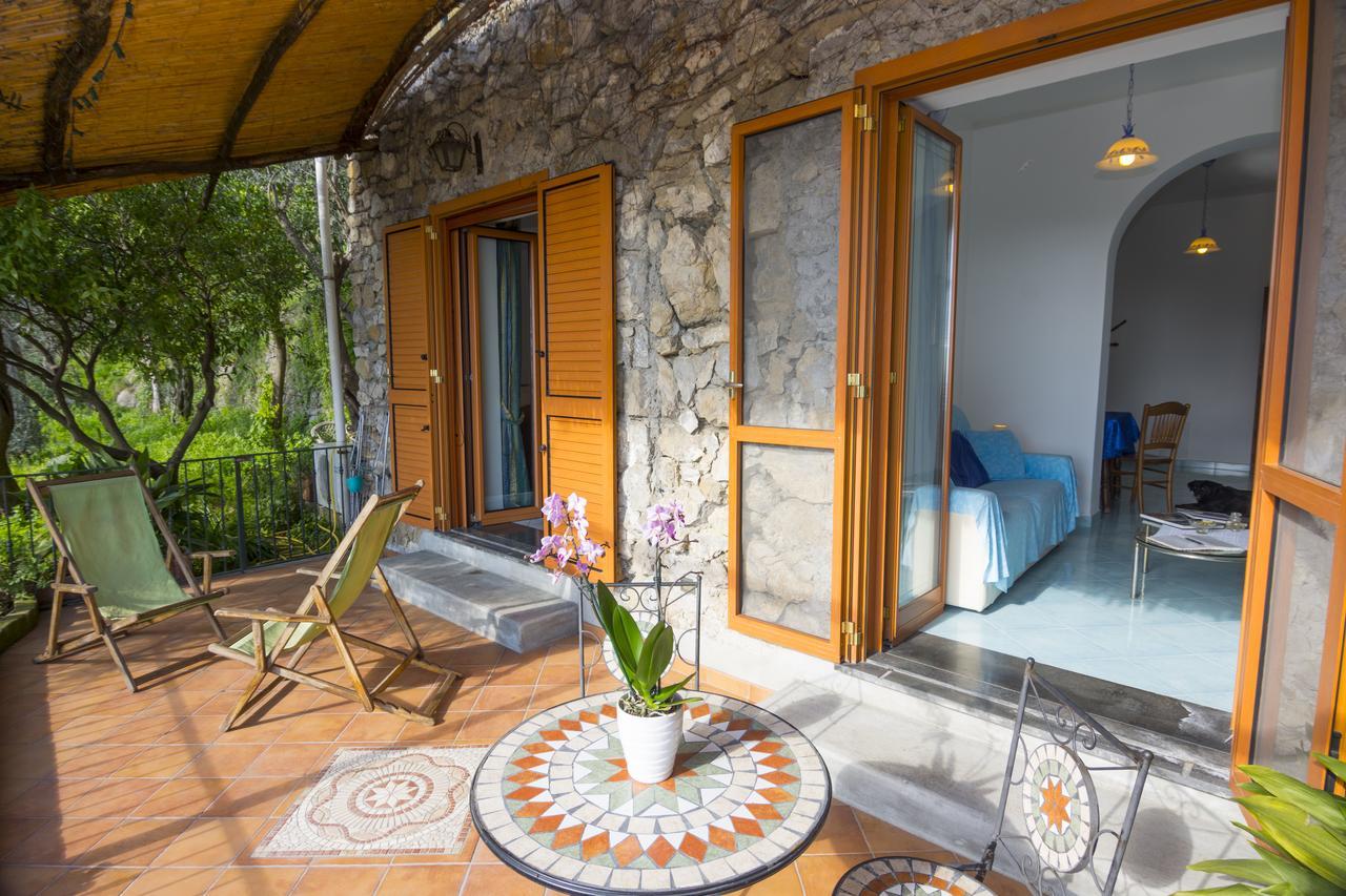 Le Nereidi B&B โปซิตาโน ภายนอก รูปภาพ